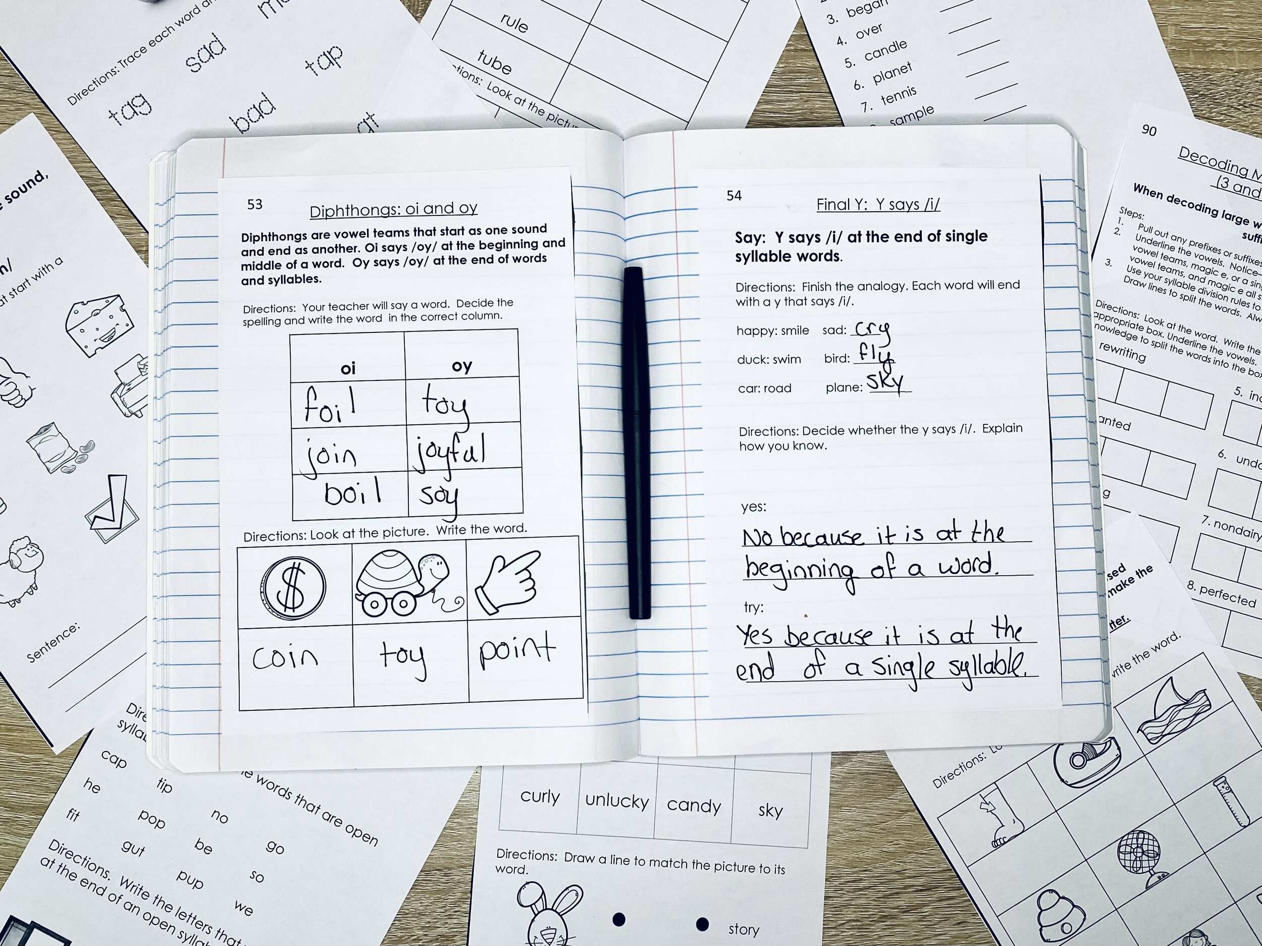 The interactive phonics notebooks.  One of my absolute must-haves!